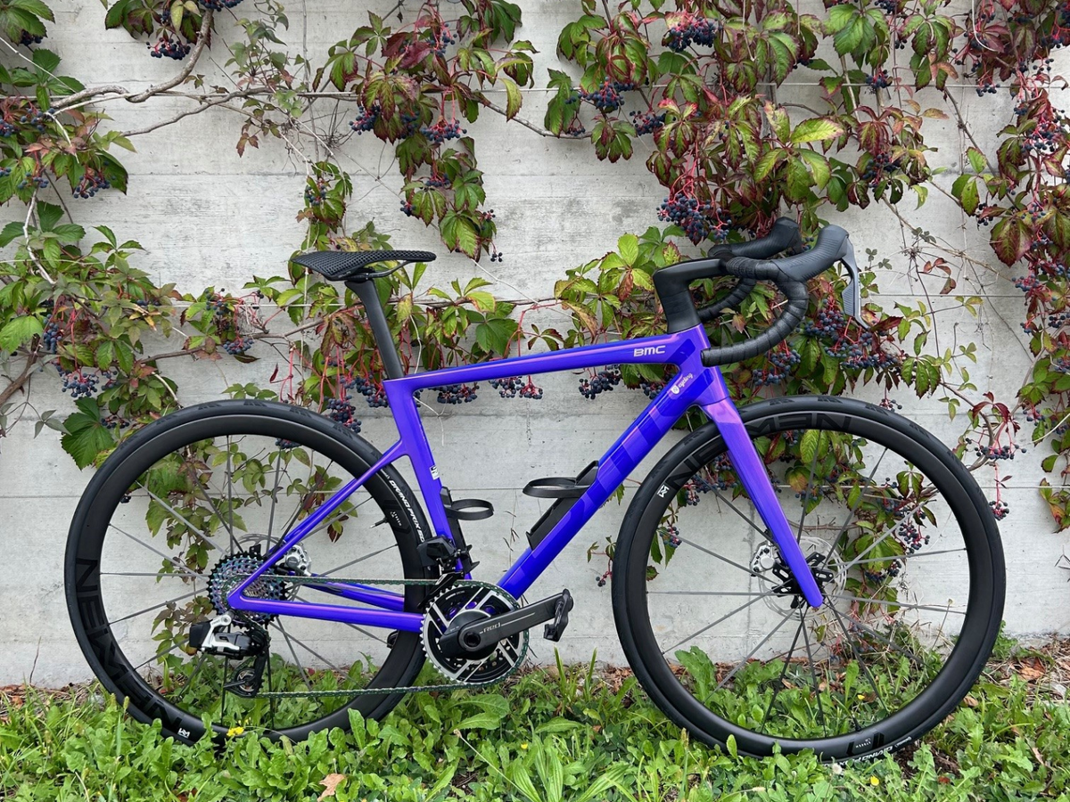 Medium projekt armin  1 